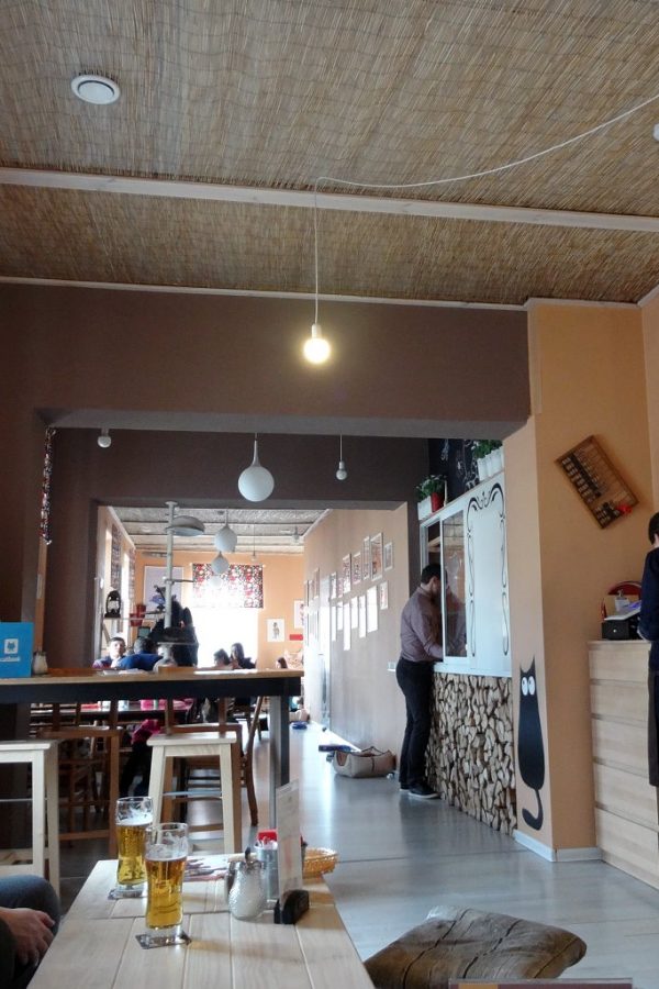cat cafe vilnius sala gatti
