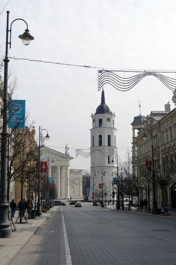 cattedrale di vilnius e torre da via negozi gedimino
