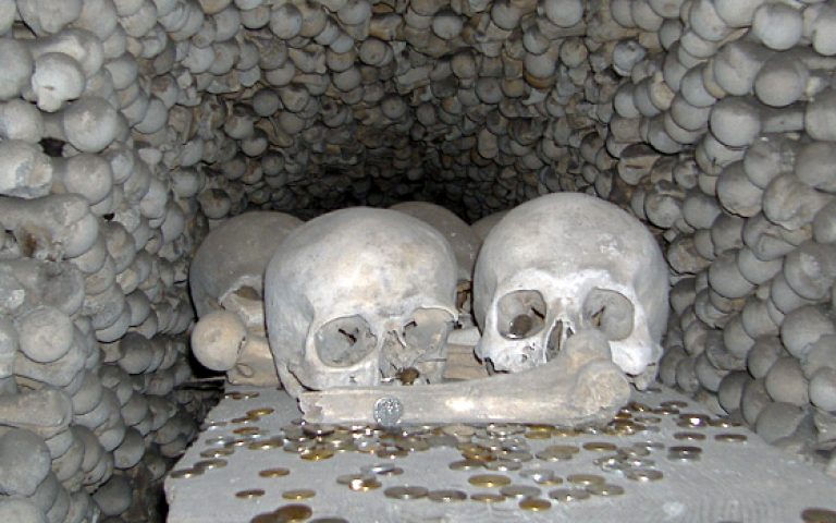 ossari repubblica ceca