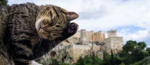 Atene oltre l’Acropoli: la città dei gatti