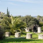 Cosa vedere ad Atene: dall’Acropoli ai quartieri più autentici