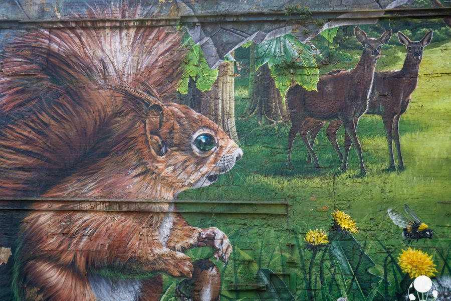 glasgow city centre mural trail fellow glasgow residents