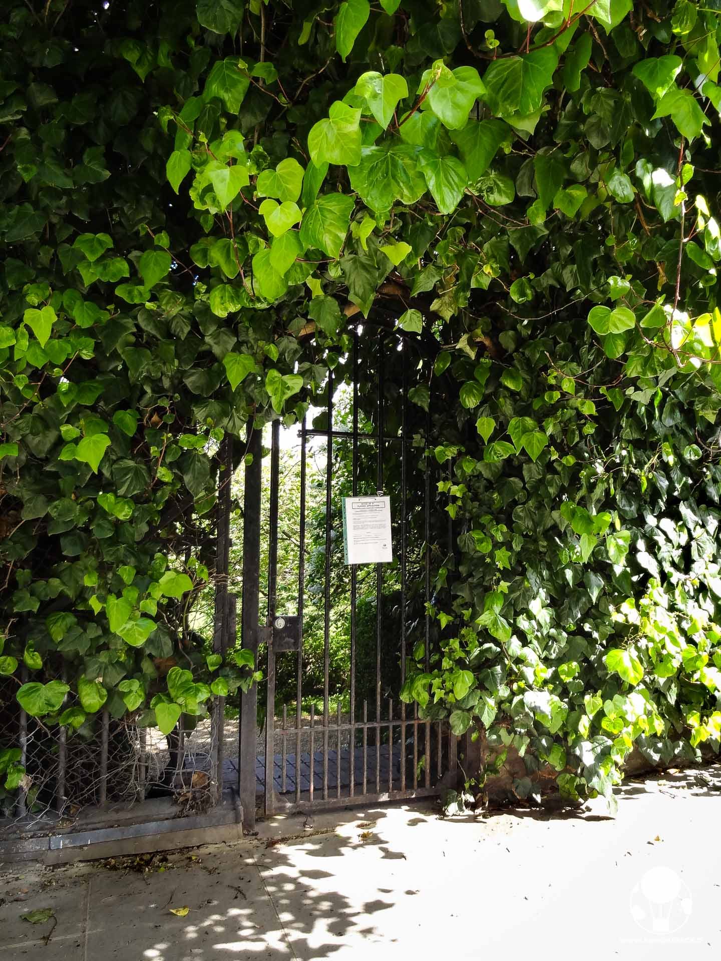 londra notting hill parco panchina william anna hugh grant julia roberts