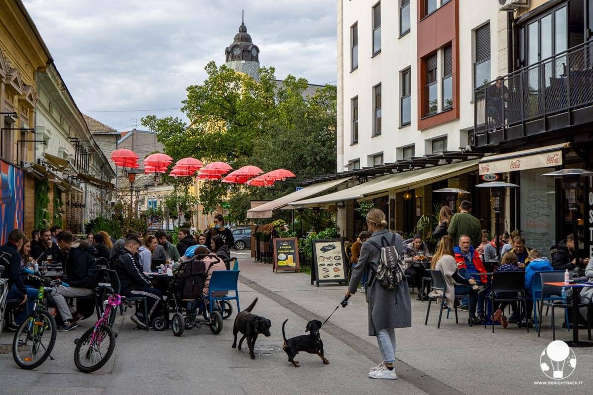 Viale con ombrelli rossi e locali a Novi Sad