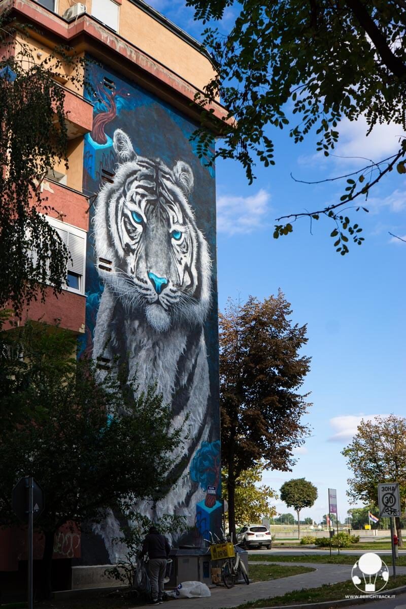 Murale con tigre dagli occhi blu sul lungofiume di Novi Sad
