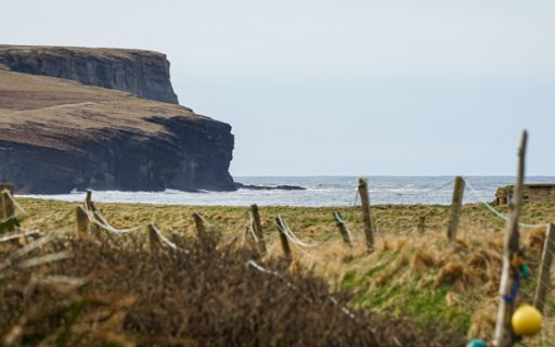 Cosa vedere sulle isole Orcadi in quattro giorni
