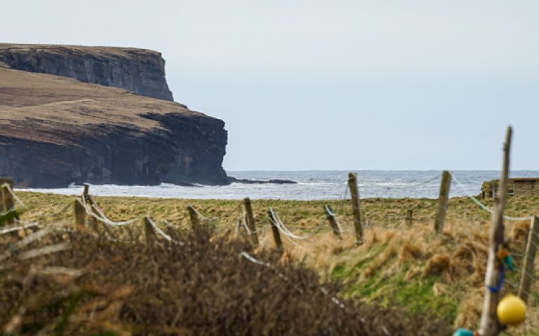 Cosa vedere sulle isole Orcadi in quattro giorni